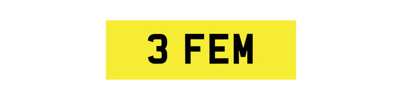 3 FEM