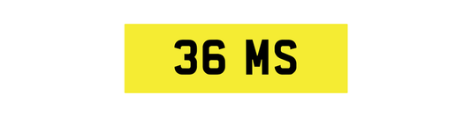 36 MS