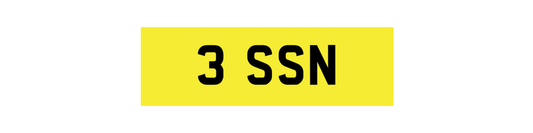3 SSN