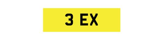 3 EX