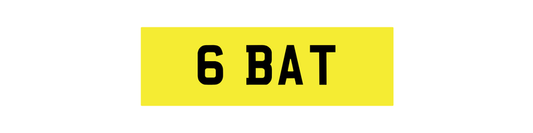 6 BAT