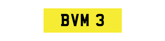 BVM 3