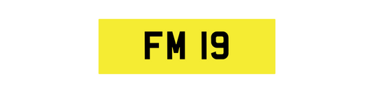 FM 19