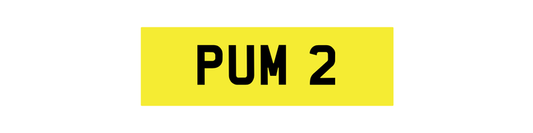 PUM 2