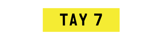 TAY 7