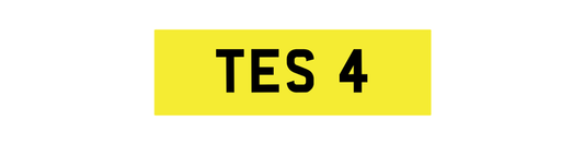 TES 4